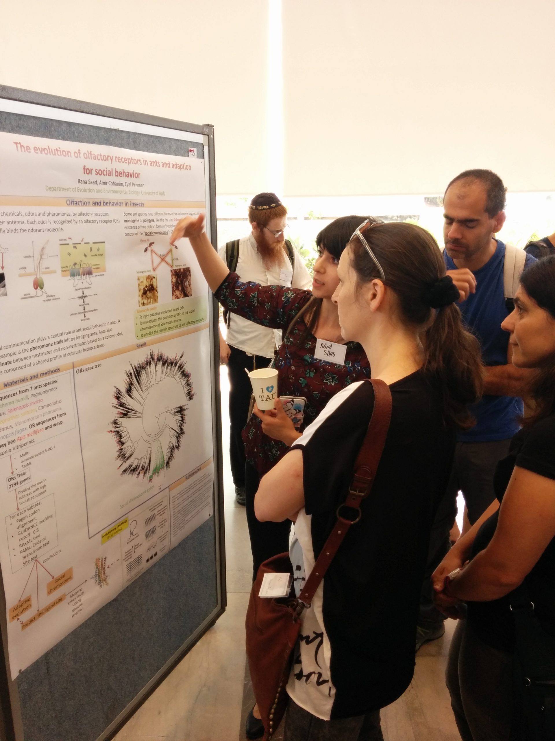 Read more about the article Israeli Bioinformatics Symposium 2015